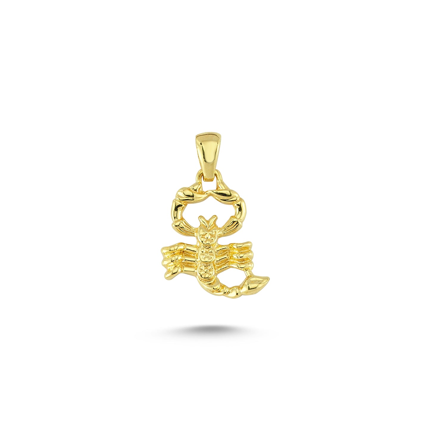 14K Gold Scorpio Horoscope Charm Necklace