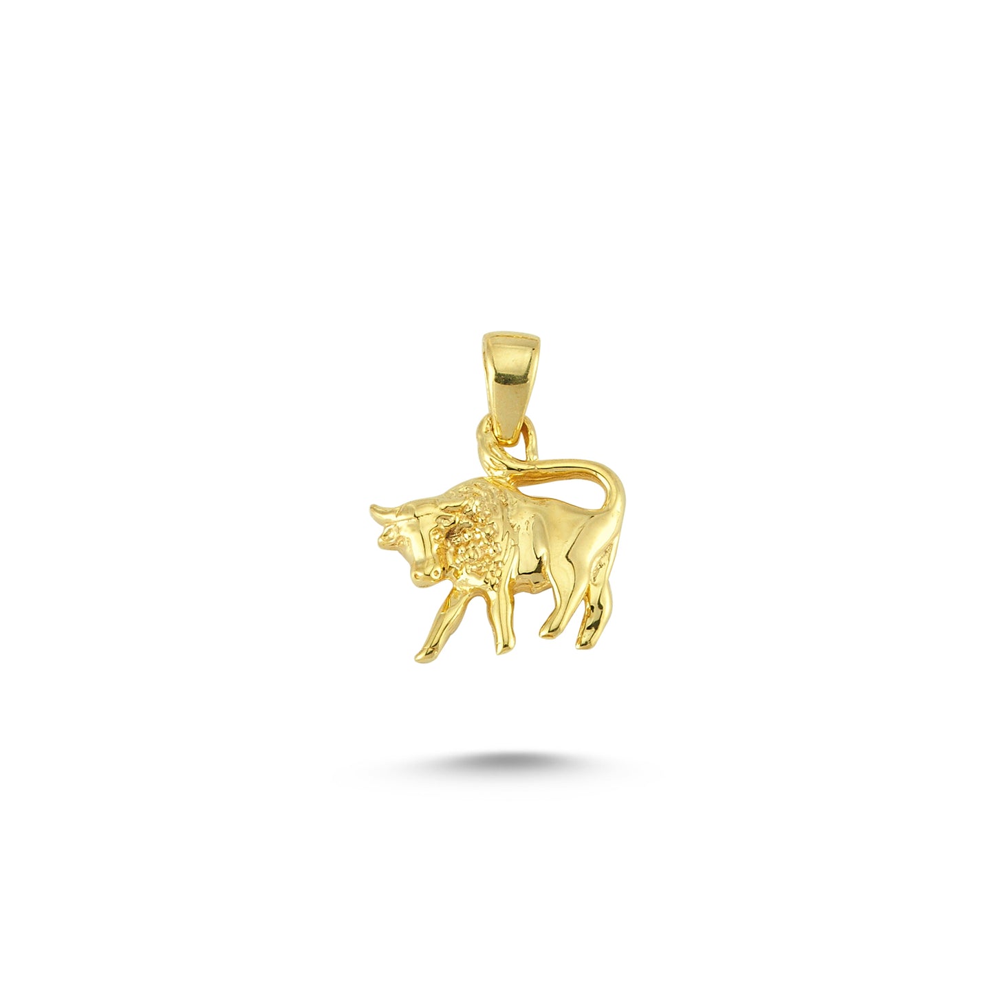 14K Gold Taurus Horoscope Charm Necklace