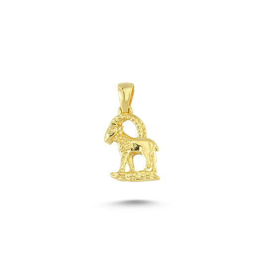 14K Gold Capricorn Horoscope Charm Necklace