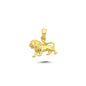 14K Gold Leo Horoscope Charm Necklace