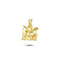 14K Gold Findingking  Charm Necklace