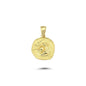 14K Gold Aquarius Zodiac Coin Charm Necklace