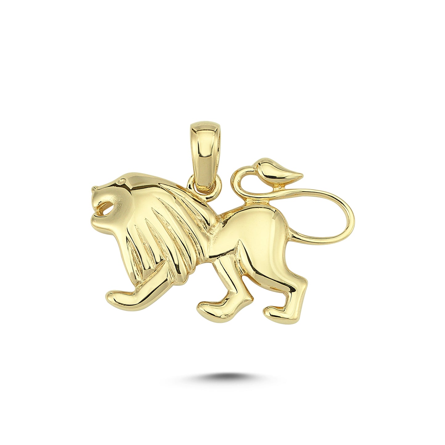 14K Gold Leo Charm Necklace