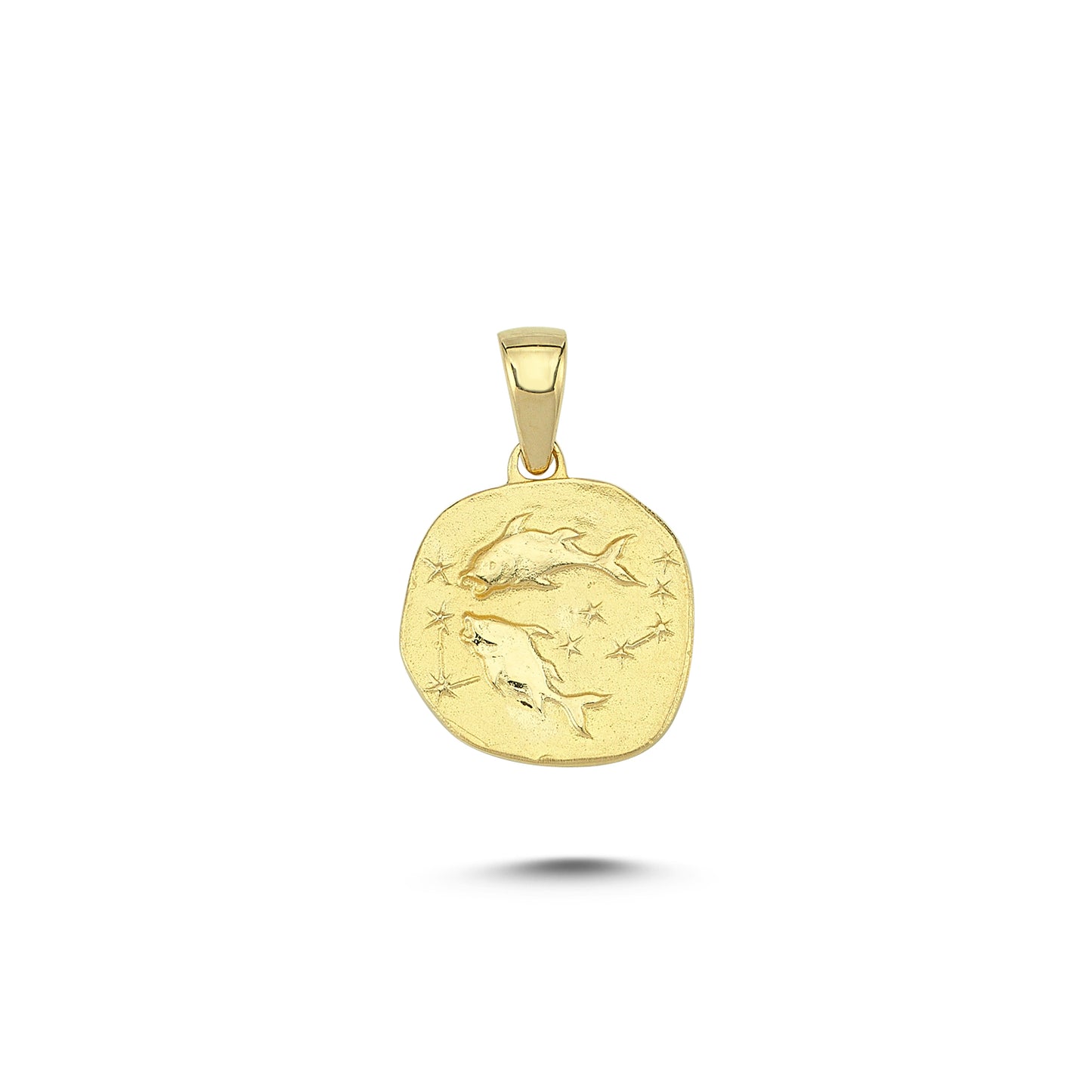 14K Gold Pisces Zodiac Coin Charm Necklace