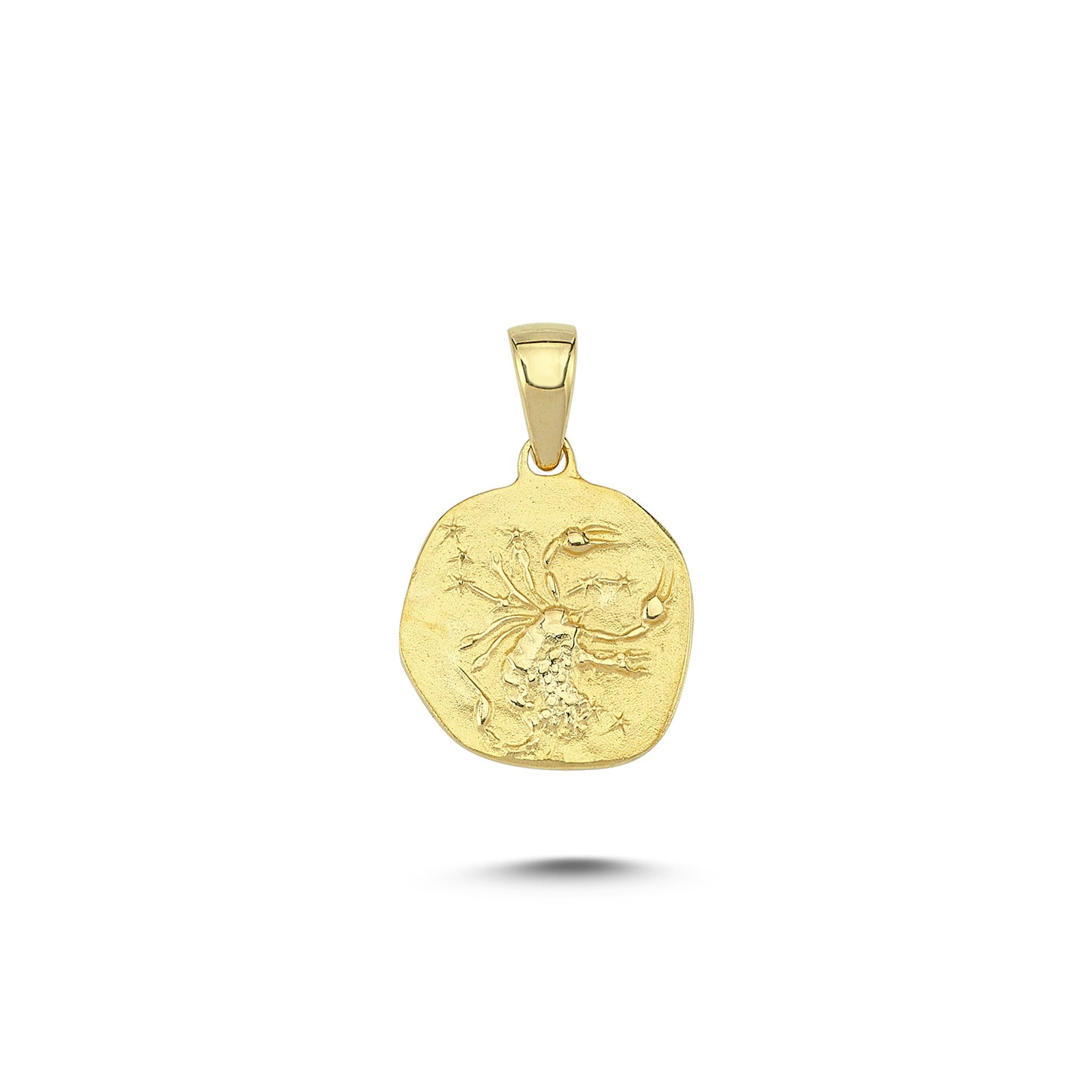 14K Gold Scorpio Zodiac Coin Charm Necklace