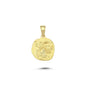 14K Gold Scorpio Zodiac Coin Charm Necklace