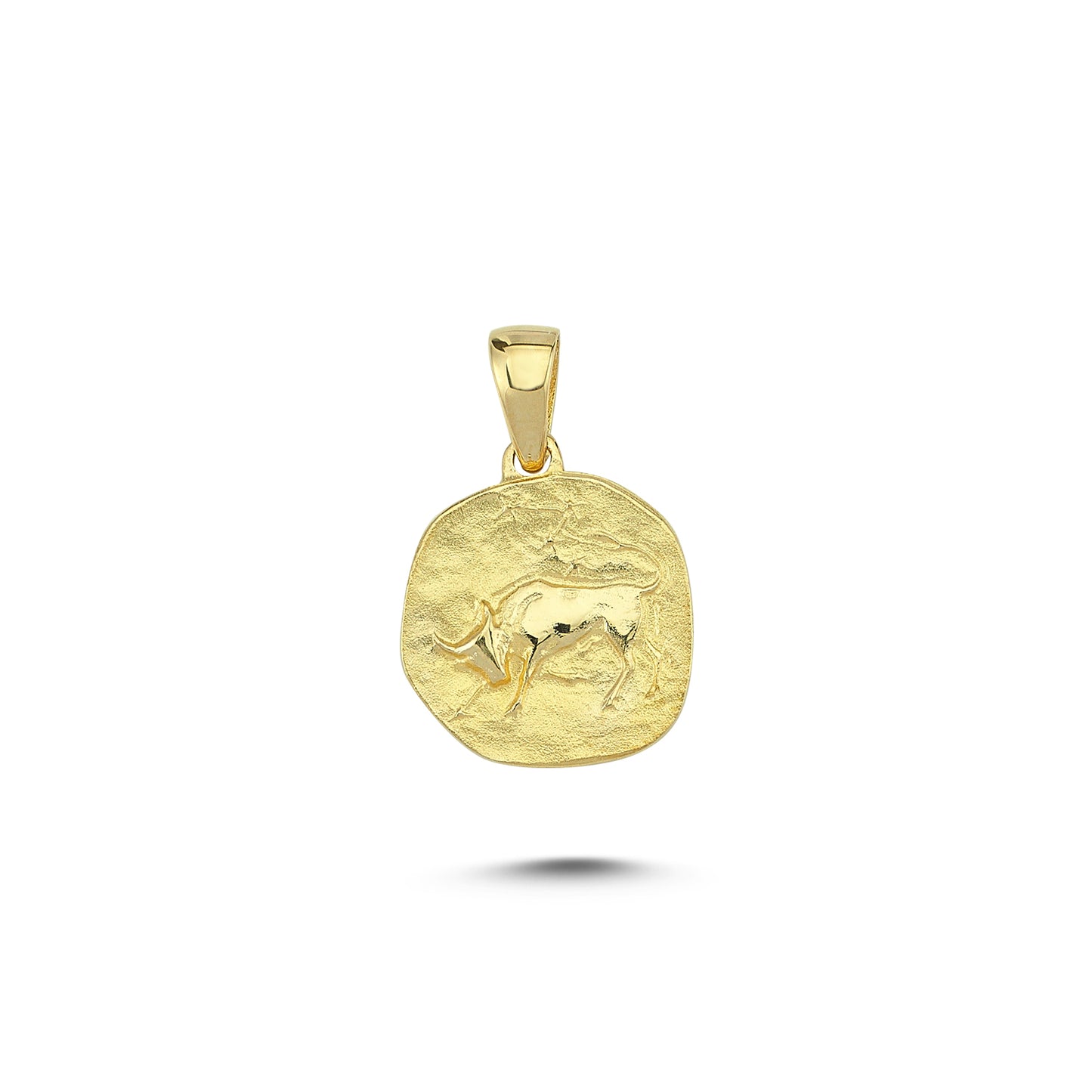 14K Gold Taurus Zodiac Coin Charm Necklace