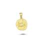 14K Gold Cancer Zodiac Coin Charm Necklace