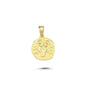 14K Gold Gemini Zodiac Coin Charm Necklace