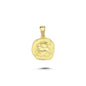 14K Gold Capricorn Zodiac Coin Charm Necklace