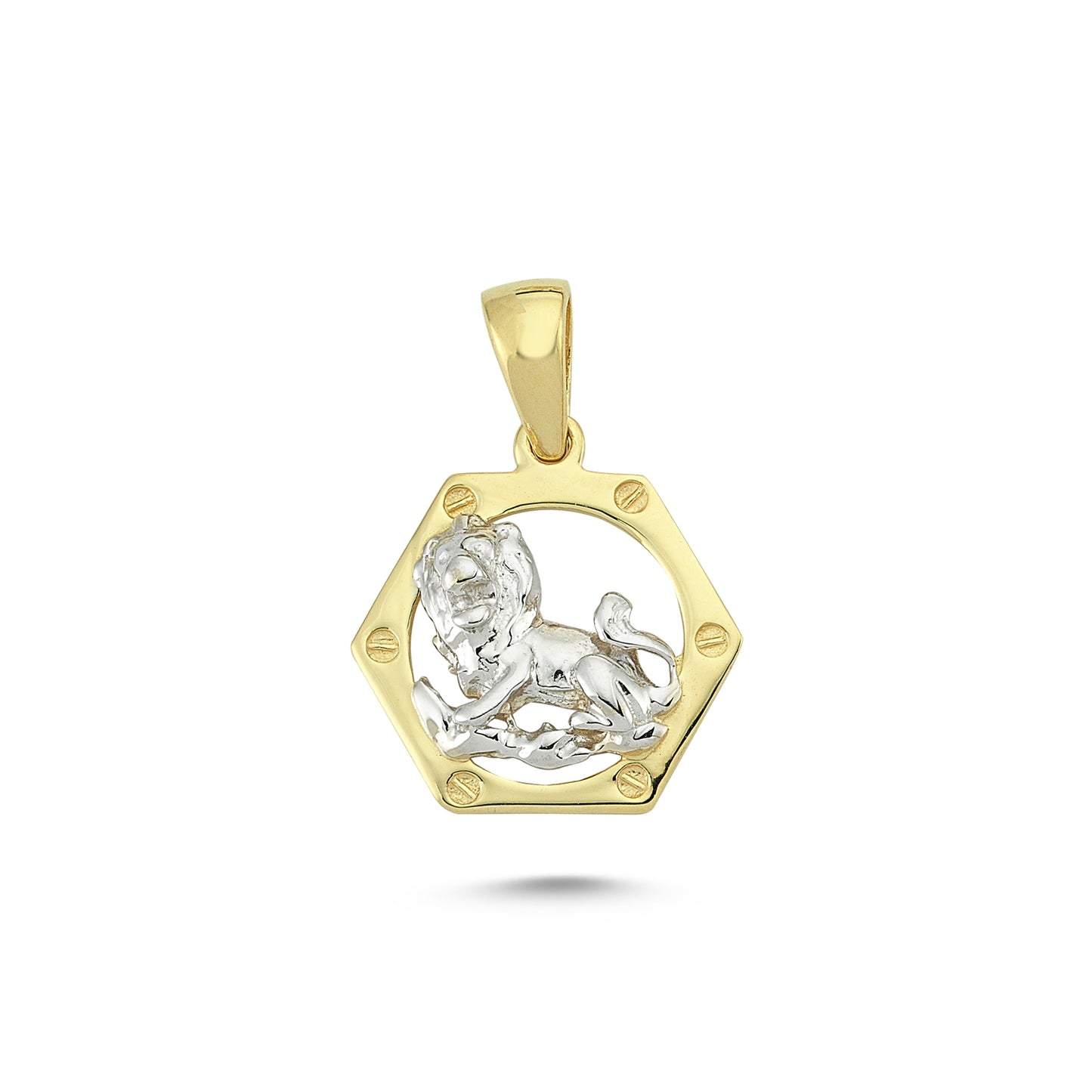 14K Gold Leo Charm Necklace