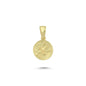 14K Gold Cancer Coiın Charm Necklace