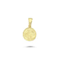 14K Gold Pisces Coiın Charm Necklace