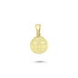 14K Gold Gemini Coiın Charm Necklace