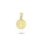 14K Gold Virgo Coiın Charm Necklace