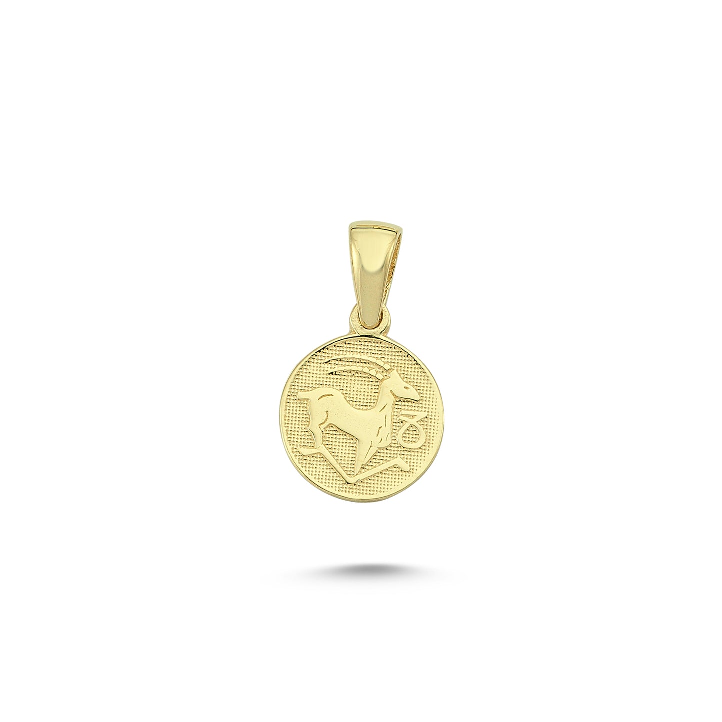 14K Gold Capricorn Coiın Charm Necklace