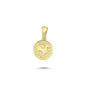 14K Gold Capricorn Coiın Charm Necklace