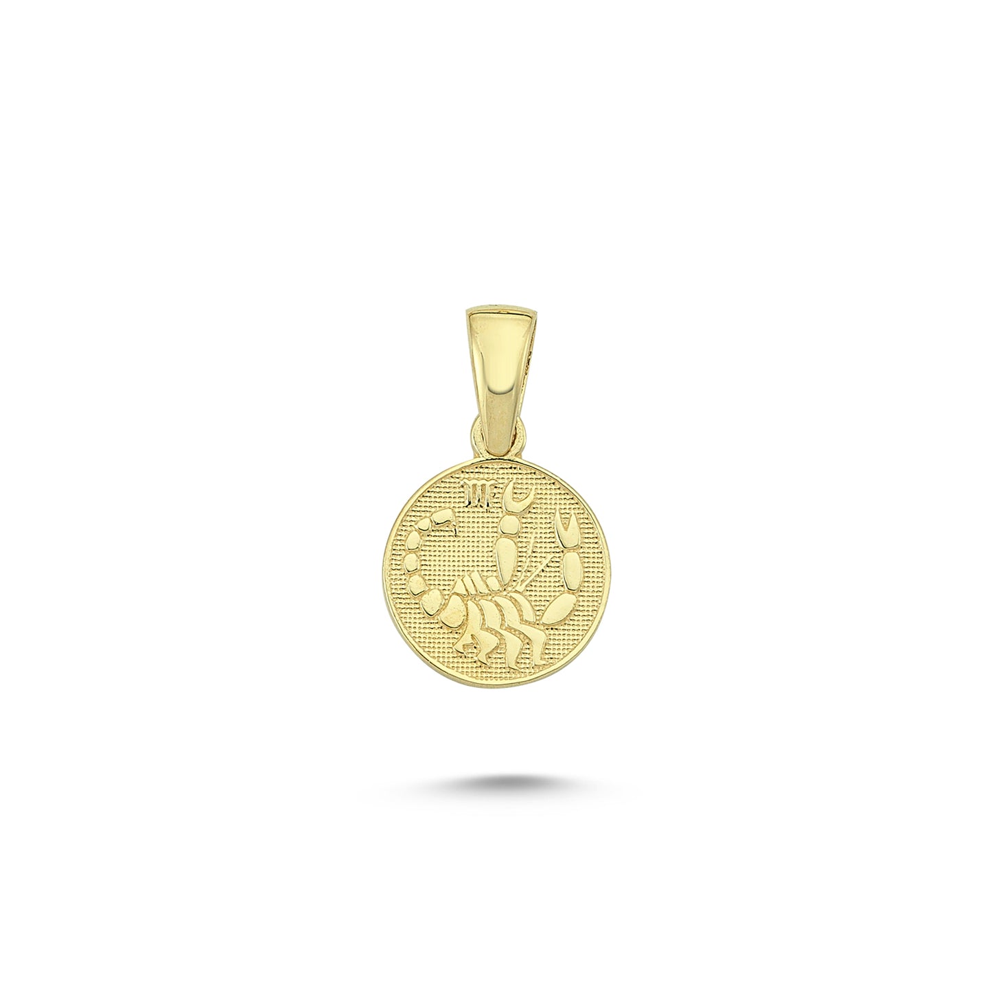 14K Gold Scorpio Coiın Charm Necklace