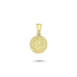 14K Gold Scorpio Coiın Charm Necklace