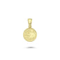 14K Gold Aquarius Coiın Charm Necklace