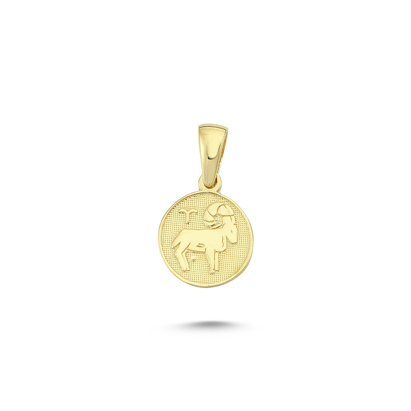 14K Gold Aries Coiın Charm Necklace