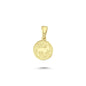 14K Gold Aries Coiın Charm Necklace