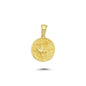 14K Gold Sagittarius Coin Charm Necklace