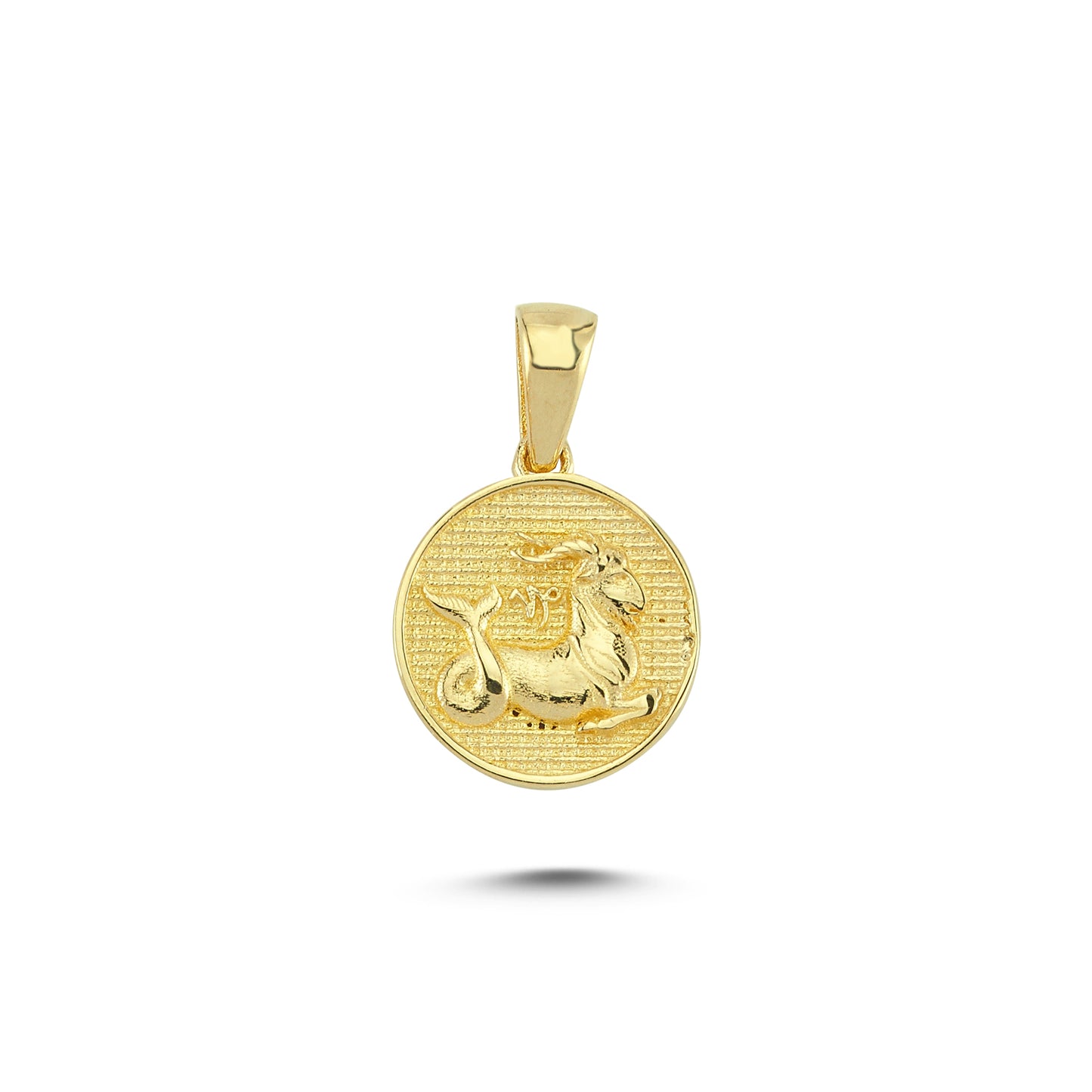 14K Gold Capricorn Coin Charm Necklace