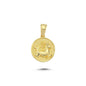 14K Gold Capricorn Coin Charm Necklace