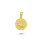 14K Gold Aries Coin Charm Necklace