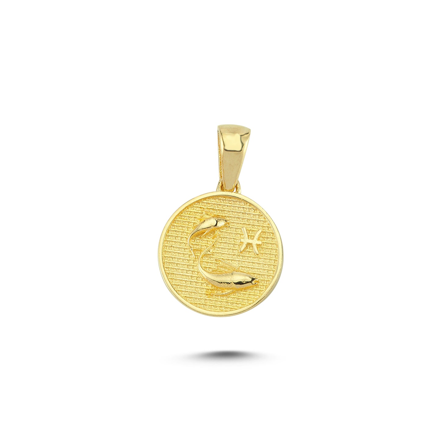 14K Gold Pisces Coin Charm Necklace