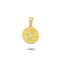 14K Gold Aquarius Coin Charm Necklace