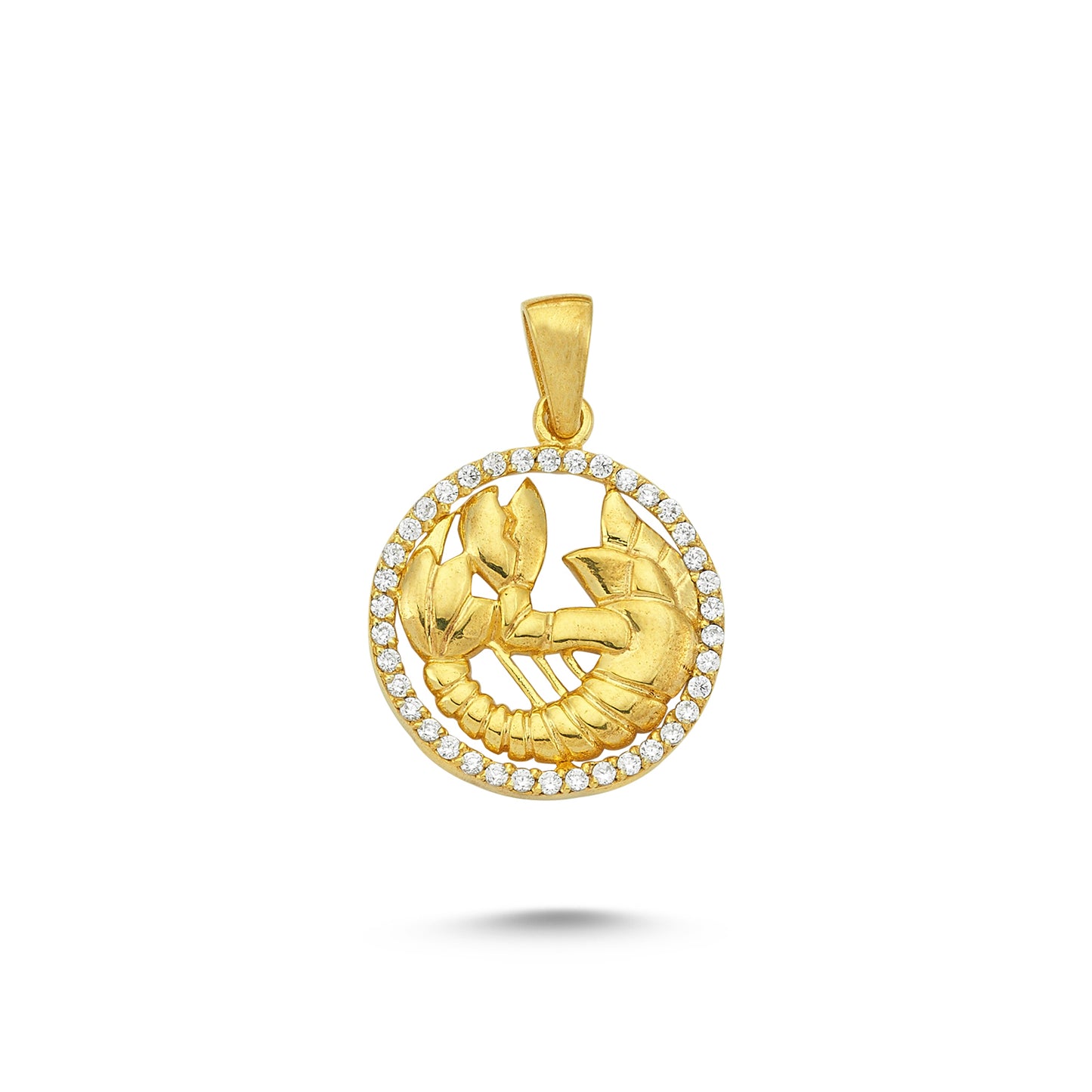 14K Gold Cancer Coin Charm Necklace