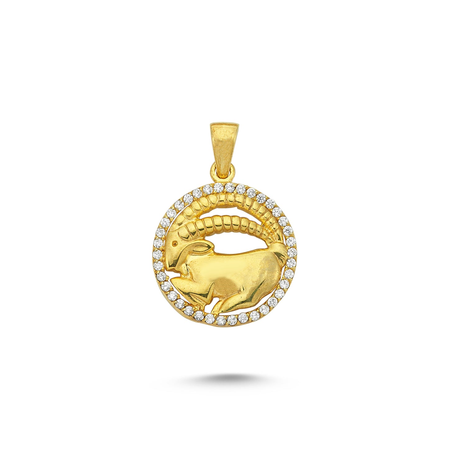 14K Gold Capricorn Coin Charm Necklace