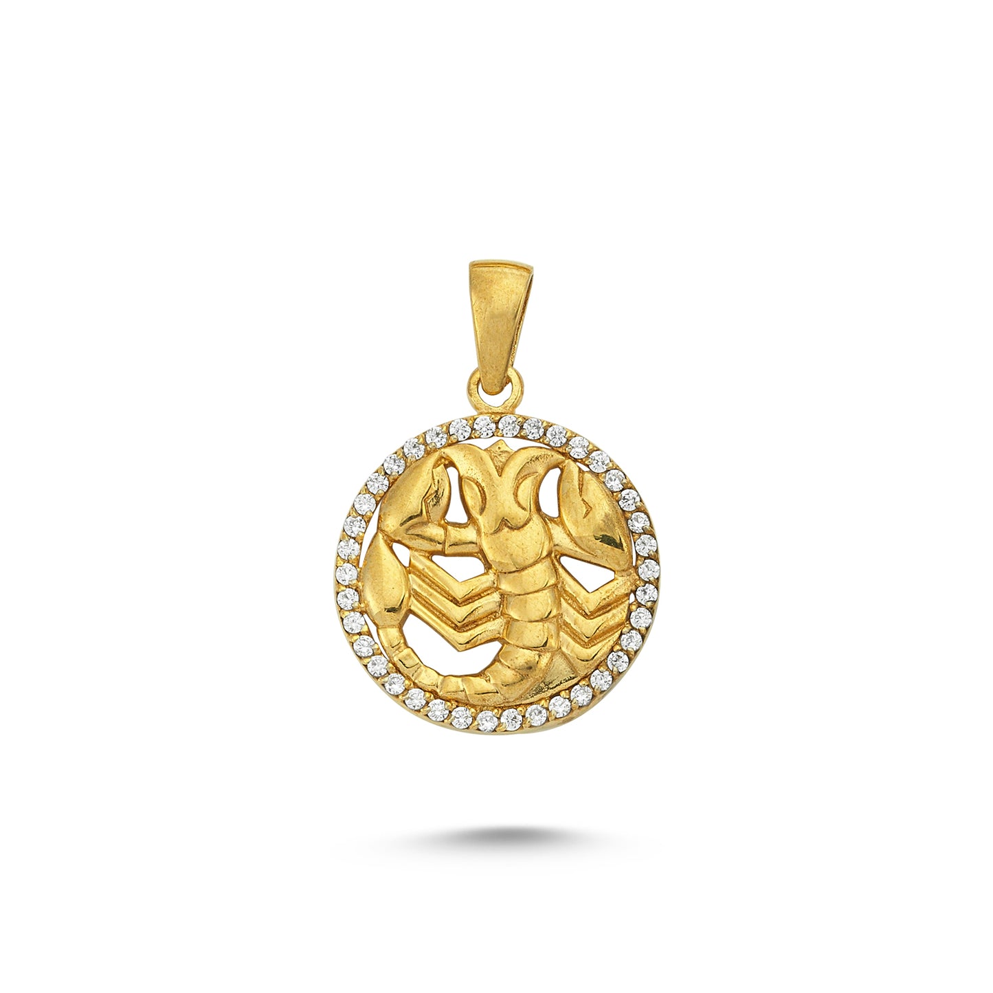 14K Gold Scorpio Coin Charm Necklace