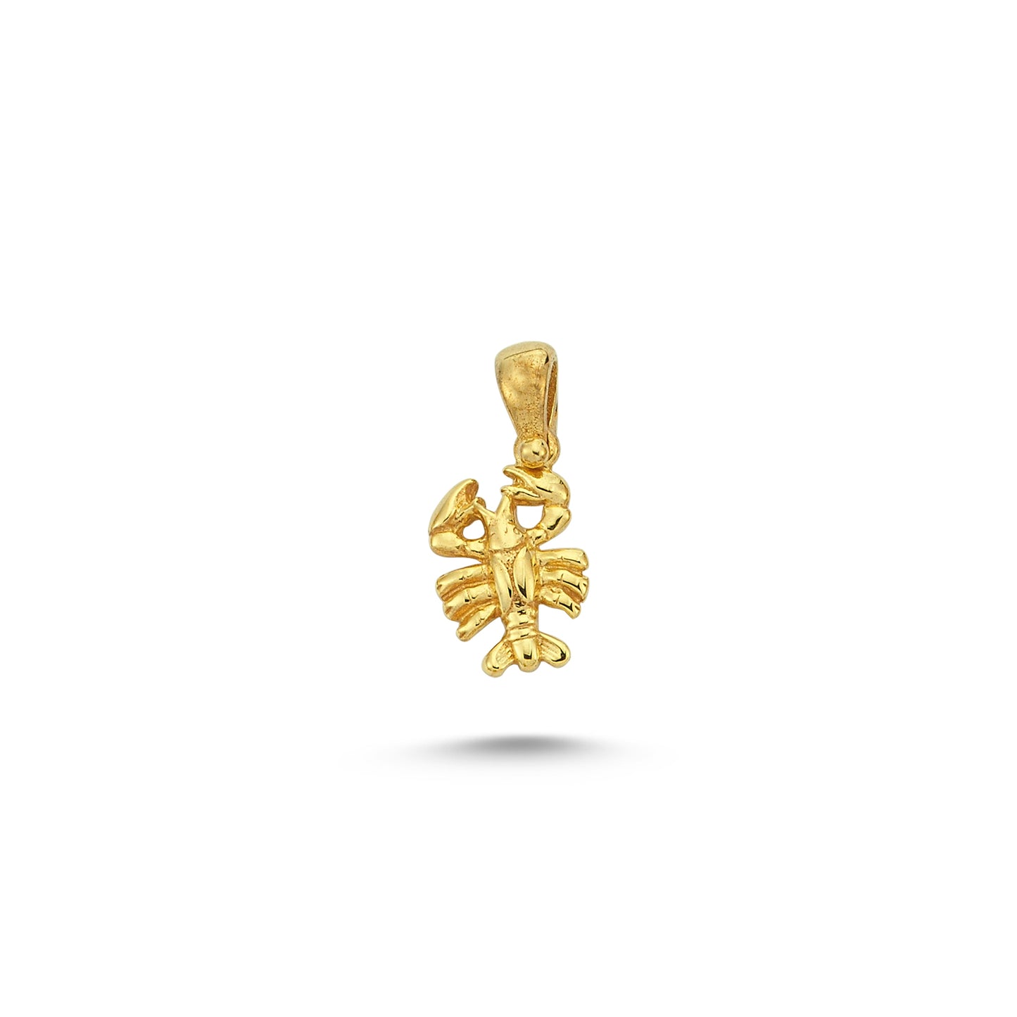 14K Gold Cancer Charm Necklace