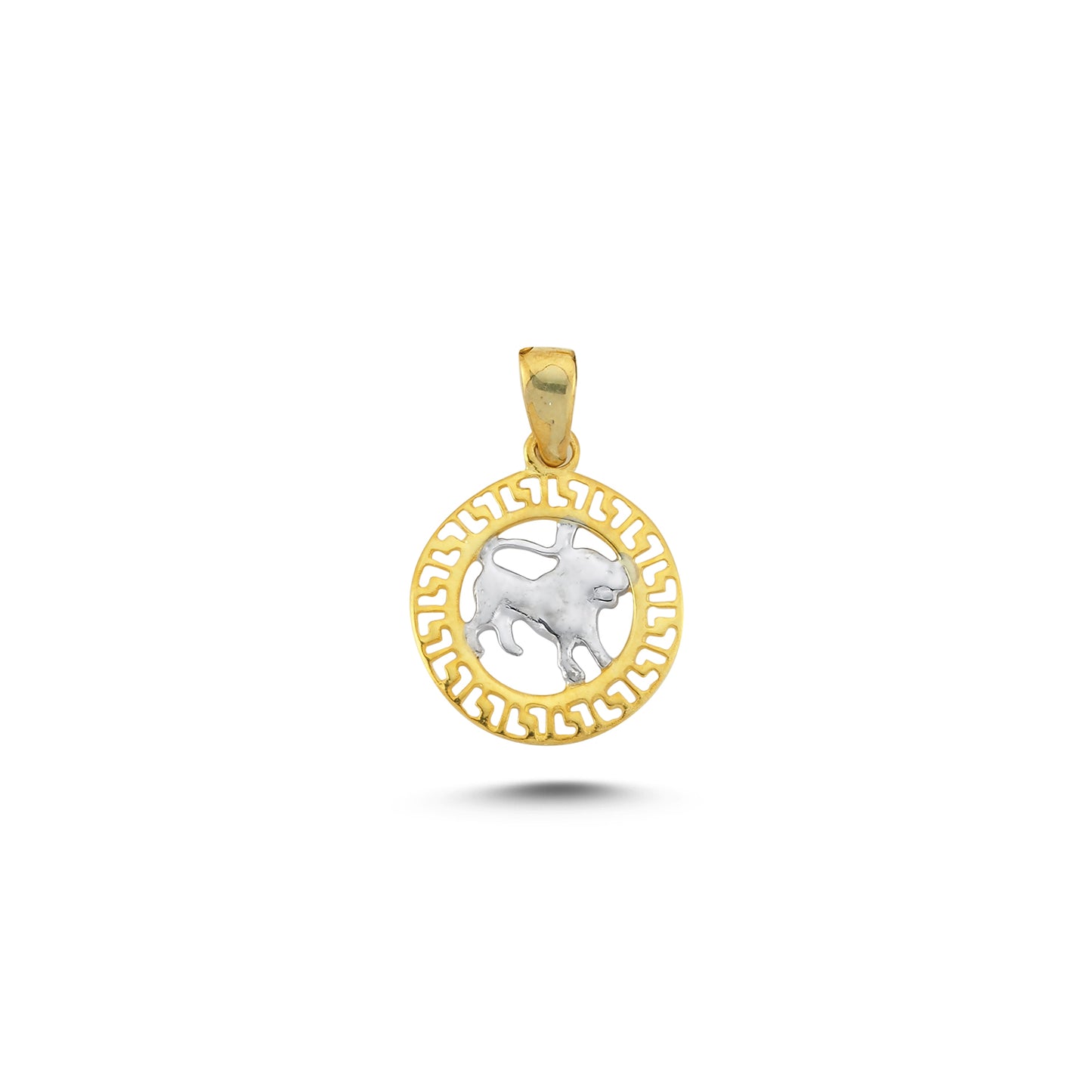 14K Gold Leo Charm Necklace