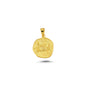 14K Gold Cancer Horoscope Charm Necklace