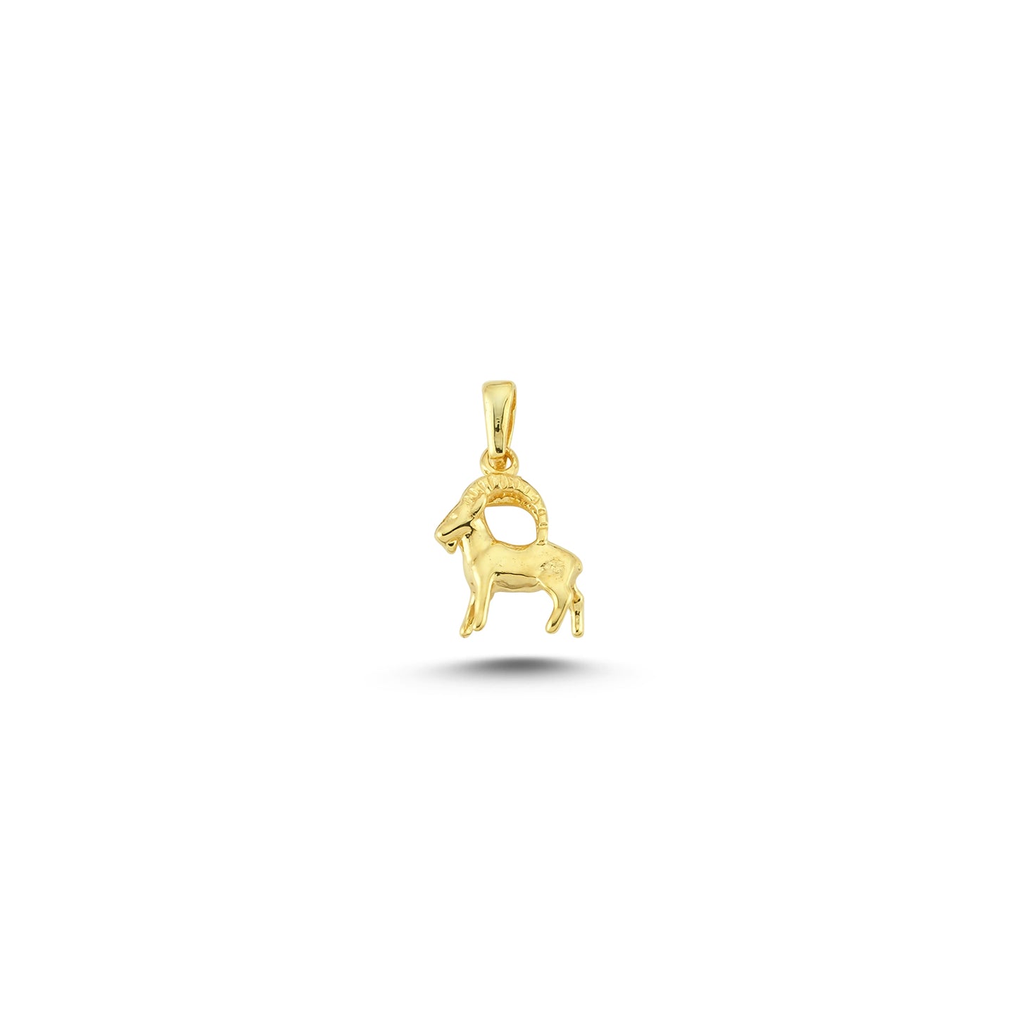 14K Gold Capricorn Charm Necklace