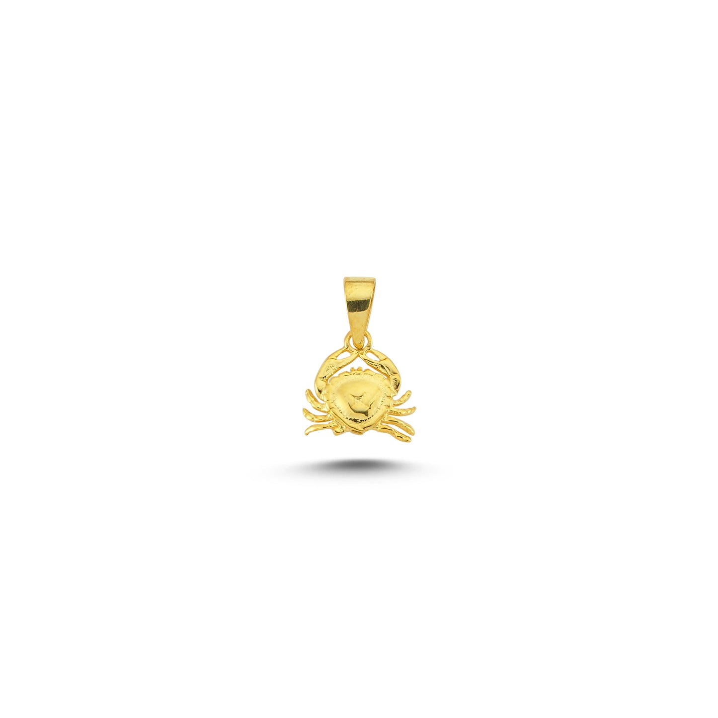 14K Gold Cancer Charm Necklace