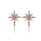 Rose Gold Plated 925K Sterling Silver Baguette Earring Baguette Earring Fashion Designer Earring North Star Earring